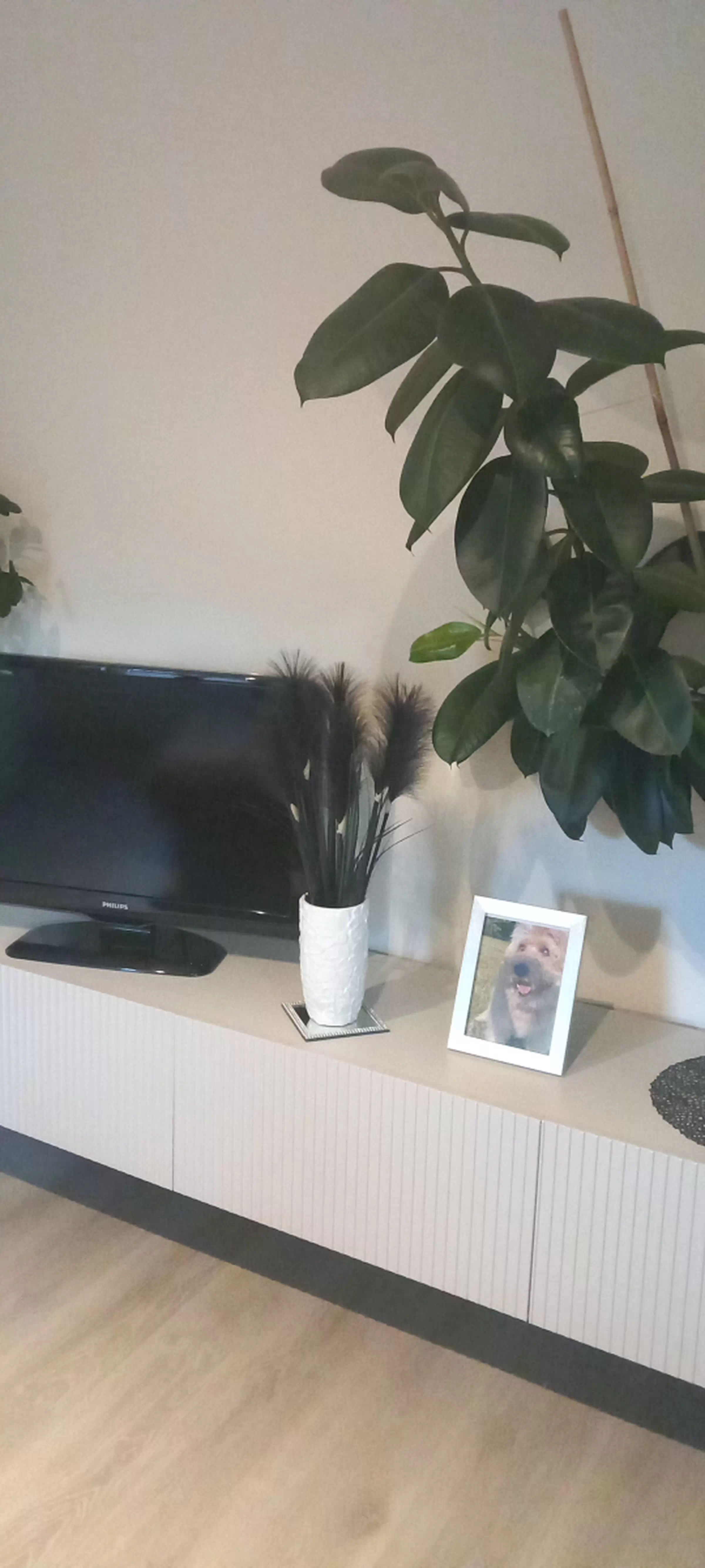 Client Image 1154