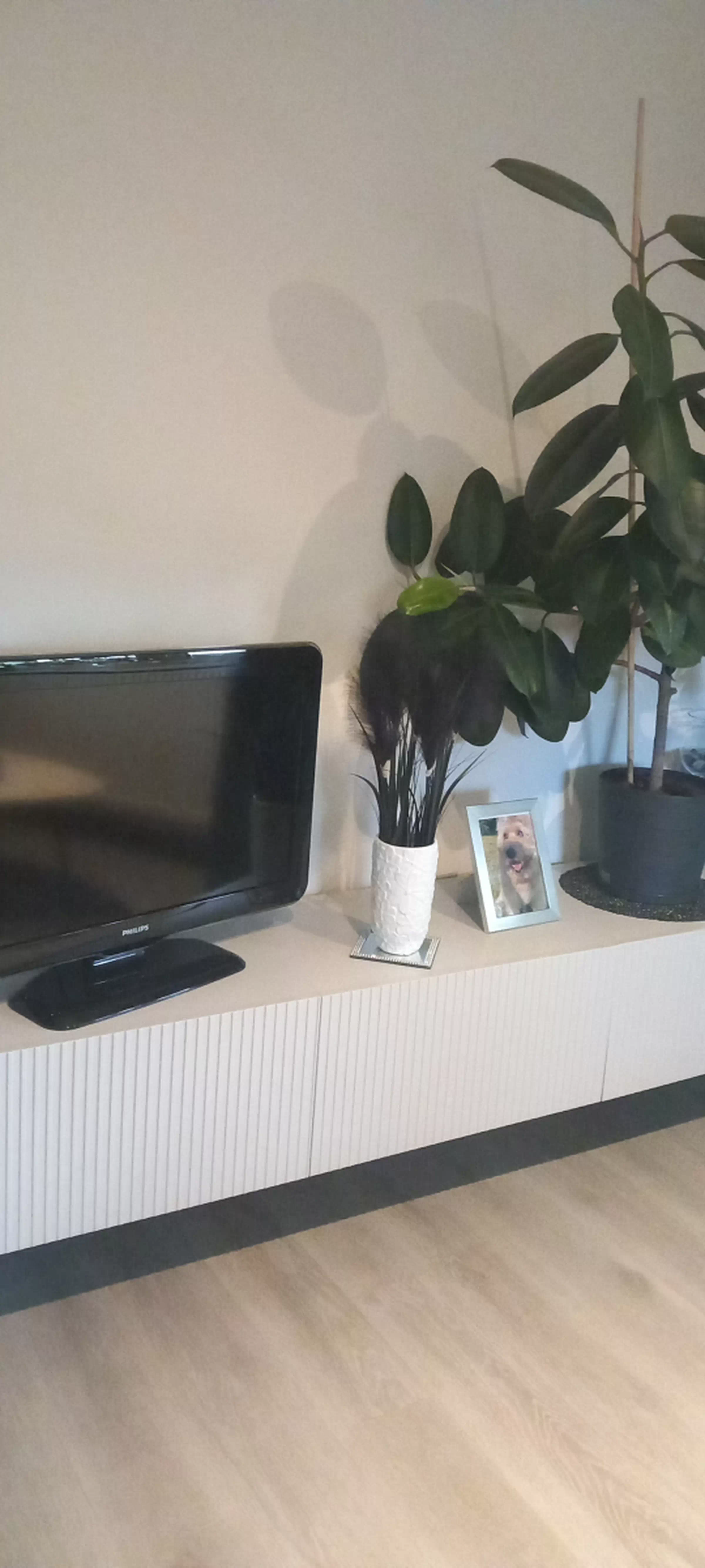 Client Image 1155