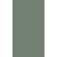 eukaliptus
